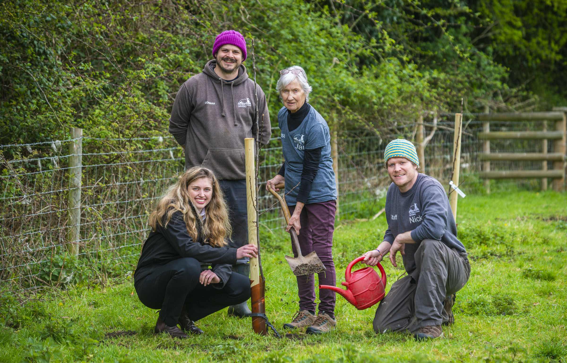 We’ve donated apple trees to 50 community groups across the UK